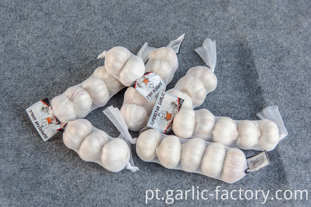 Jinxiang fresh garlic-suply all the year